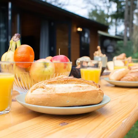 Charmant, Gezellig En Knus 5p Op Veluwe Naast Sauna Drome אתר קמפינג