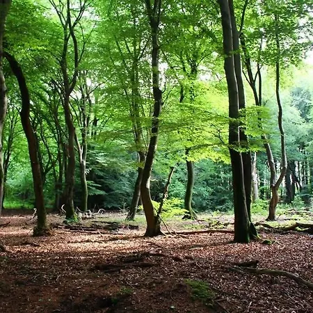 Charmant, Gezellig En Knus 5p Op Veluwe Naast Sauna Drome Campsite Putten