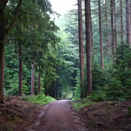 Campsite Charmant, Gezellig En Knus 5p Op Veluwe Naast Sauna Drome