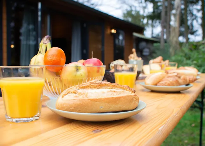 Charmant, Gezellig En Knus 5p Op Veluwe Naast Sauna Drome Campsite