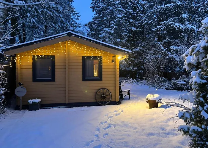 Charmant, Gezellig En Knus 5p Op Veluwe Naast Sauna Drome Putten